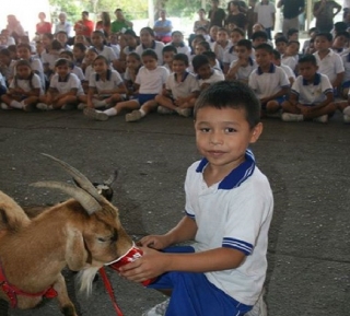 dando de comer a animalitos
